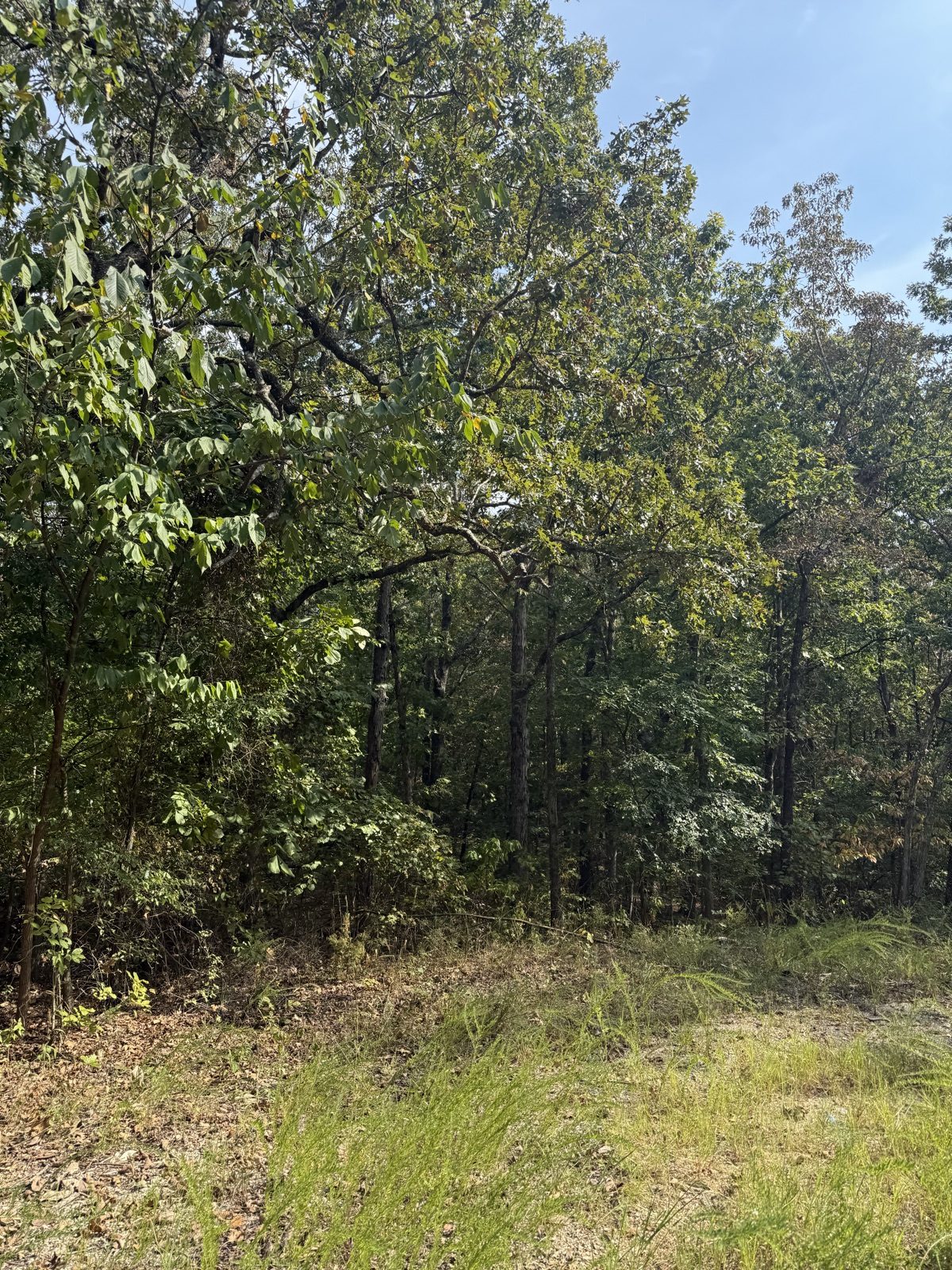 Cherokee Village — Choctaw First Lot 5 — 0.35 acres in Sharp County, Arkansas